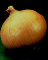 veg_granex_yellow.jpg
